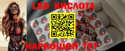 твердый Будённовск