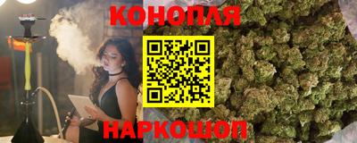 твердый Будённовск