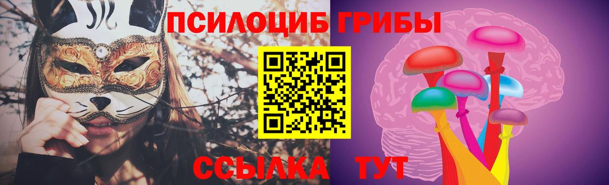 Ртищево  Галлюциногенные грибы MAGIC MUSHROOMS  Вход с VPN 